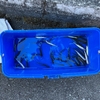 2月10日(月) 浦山ダムわかさぎ釣り情報
