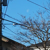 2024-02-01(Thu)