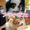 プーティーカフェさんのYouTube