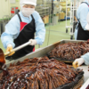 【DoChubu掲載】〈おさかなブログ〉最盛期を迎えたハゼ甘露煮づくり！豊川の平松食品御津工場