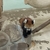安佐動物公園を約20年ぶりに訪問