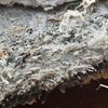 Asbestos Testing: The Importance of Turning to a Professional