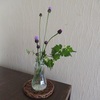 野の花をいける