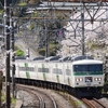 2018/04/01  東海道　早川・根府川　米神　桜