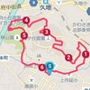 側溝の蓋の上が走りやすいことが分かった翼竜コース６．３ｋｍジョグと街中華で妻とお昼ご飯