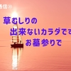 草むしりの出来ないカラダですから！お墓参りで【前立腺がん通信㊴】