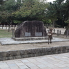 【奈良観光】東大寺