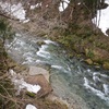 遅い春がようやく山奥にも（今年初の岩魚）