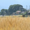 三岐鉄道北勢線・阿下喜駅付近にて