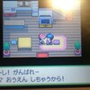 9周年から始めるポケモンプラチナプレイ日記(ポケモン捕獲編)