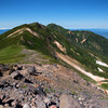 富良野岳に向かう稜線歩き