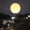 堺大仙公園のサンクスランタン