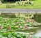 彩の森入間公園上池・下池（埼玉県入間市）