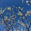 ３月１日