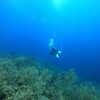 この夏最後のダイビング。