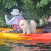 【旅】青木湖で犬とカヌー