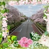 歩道橋からの桜ビュー！！！春のうさんぽコース♪笑