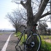 長距離ライド 60km with new 自転車