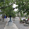 再び鎌倉（本覚寺～妙本寺～常栄寺（ぼたもち寺）～鶴岡八幡宮）その１