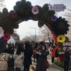 人混み必至！子連れでヨイドの桜祭りに行ってみた！