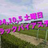 2024,10,5 土曜日 トラックバイアス予想 (東京競馬場、京都競馬場、新潟競馬場)