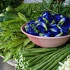 ラチャブリー二日目　：21種類の野菜トッピングが魅力的なカノム・ジーン屋台！