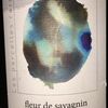 Fleur de Savagnin en Chalasse Domaine Labet 2012