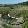 八重瀬町（安里）：世持井