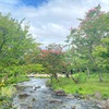 円山公園のお話。