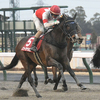 競馬初心者必見☆馬券予想🔥〜東海S〜1番人気のあの馬は鉄板級！