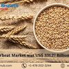 Global Wheat market, Size, Share, Growth ⅼ Key Players ⅼ Forecast (2023 - 2028) ⅼ Renub Research 
