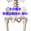 その動き、骨盤は胴体？　脚？