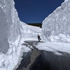 【求む！新潟県のスキー場情報】