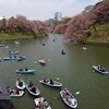  千鳥ヶ淵で花見