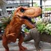 くまにはただの草★アナベルのお返しにレモン