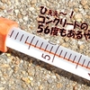 気温３４度でも🌡コンクリートの上は５５度！‥直射日光は４５度！レンチンJapan！ハチの巣用心！