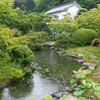 水のある風景