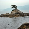 白浜崎