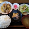 権現庵さんで、いつも安定の500円ランチ。ご飯も大盛可でがっつりいけます！！