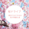 桜を眺めながらドライブ！横浜でおすすめの桜が綺麗な道