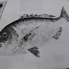 魚拓サイズ