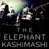  Hiroji Miyamoto * 宮本浩次 ( ELEPHANT KASHIMASHI )