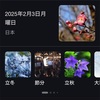 立春、そして最強寒波🥶