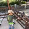 男性育休、2回目を取得しました！