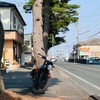 プレゼント