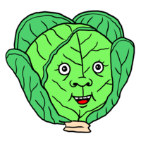 葉のついたキャベツ のイラスト