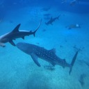 人間、万事、塞翁が馬