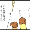 昔懐かし京都ジュンク堂書店。丸善書店知らなかった。