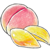 夏野菜・果物についてパート１２