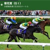 【 ハルの競馬予想  10/24.2020 】